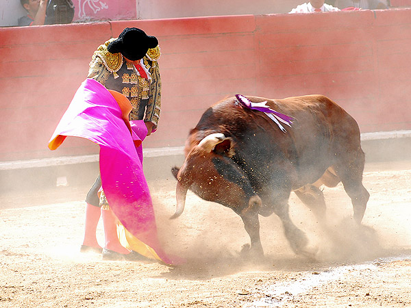 Empanizada ver�nica