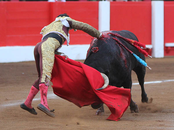 Hasta la empu�adura