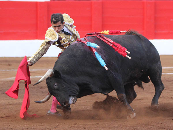 Llev�ndolo toreado