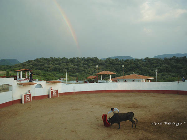 Demostraron lo aprendido