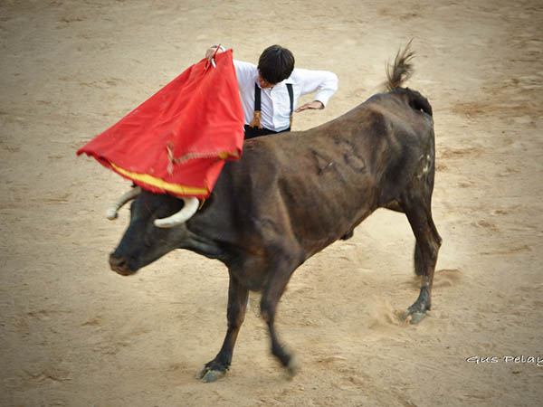 Probaron su afici�n y valor