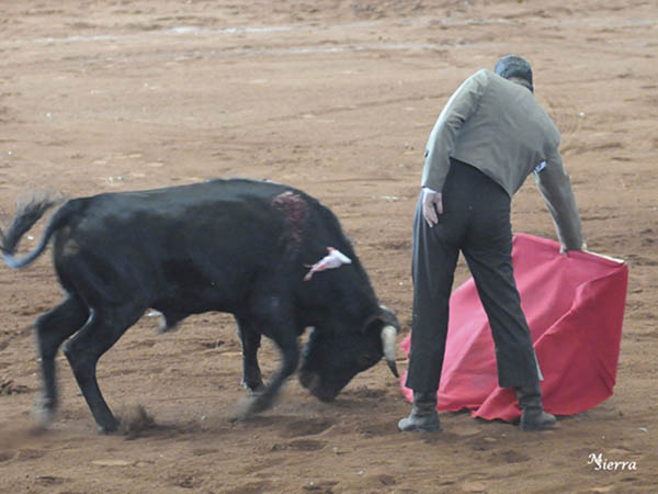 Humillado en la embestida