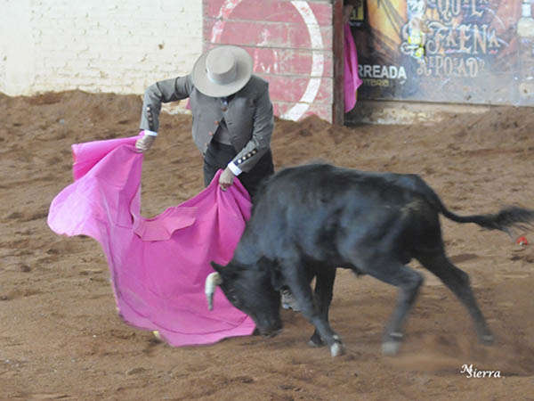 Derroche de arte en la media