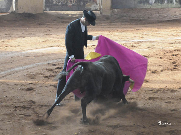 El Saludo de Guillermo Mart�nez