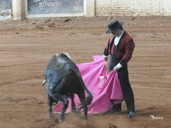 La media de Calesero