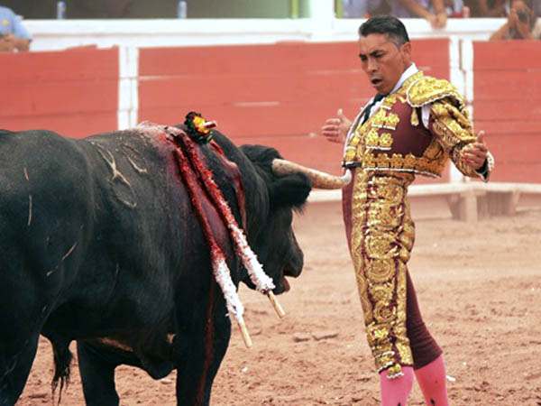 Cara a cara con el ejemplar