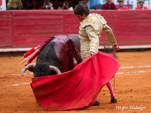 El Tuco, mostrando avances