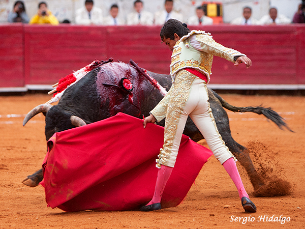 El sentimiento a flor de piel