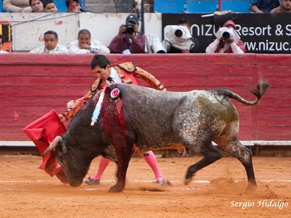 El Papo, por ganas no qued�