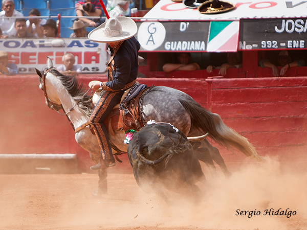 Quit�ndose cornadas