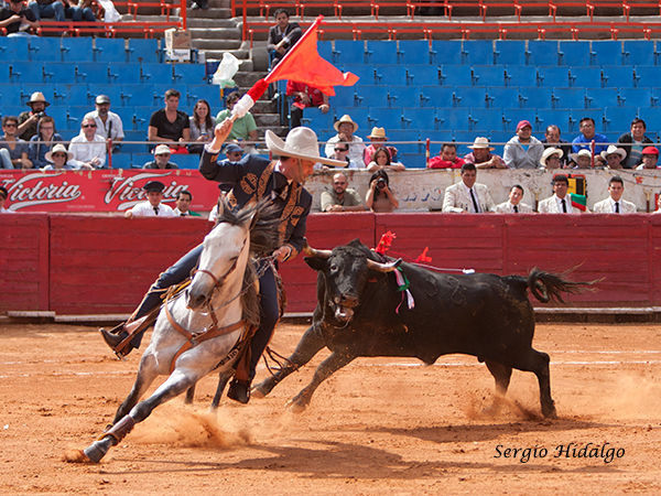 Gallo, a seguir trabajando