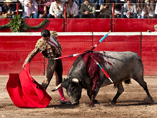 Derechazo con temple