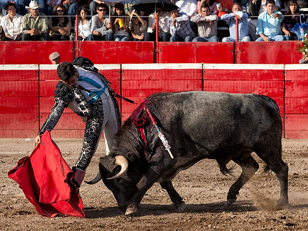 Metido en la muleta