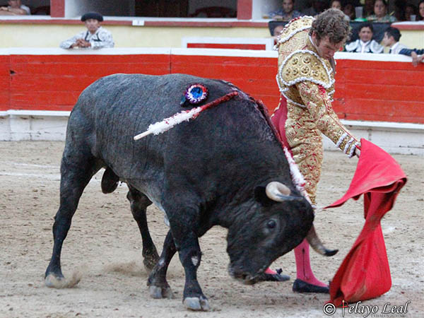 El ejemplar derroch� nobleza