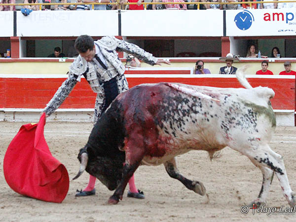 Amaya le planto cara