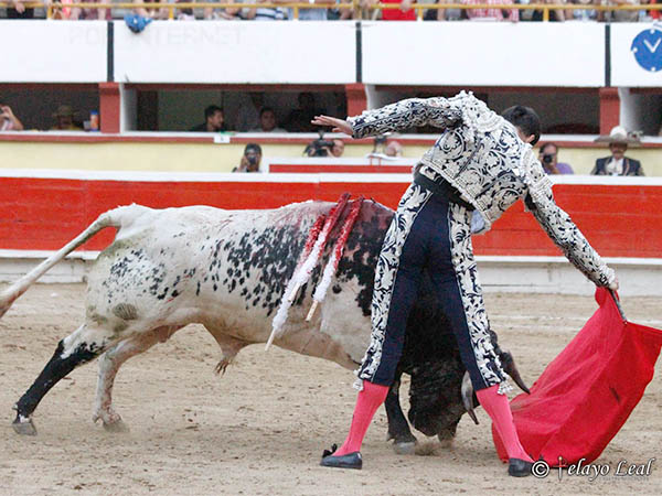 Corri� la mano a placer