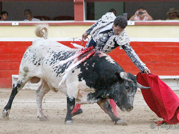 Largo trazo y sentimiento