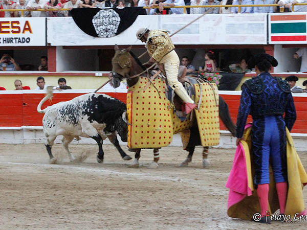 Oficiando con la vara