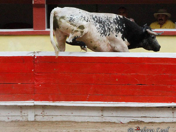 De visita al callej�n