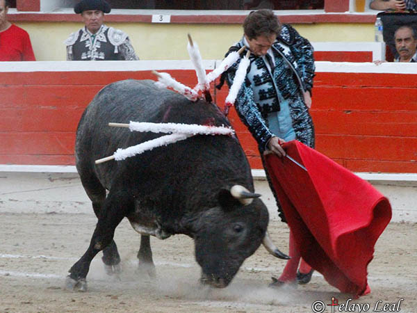 Destellos de artista