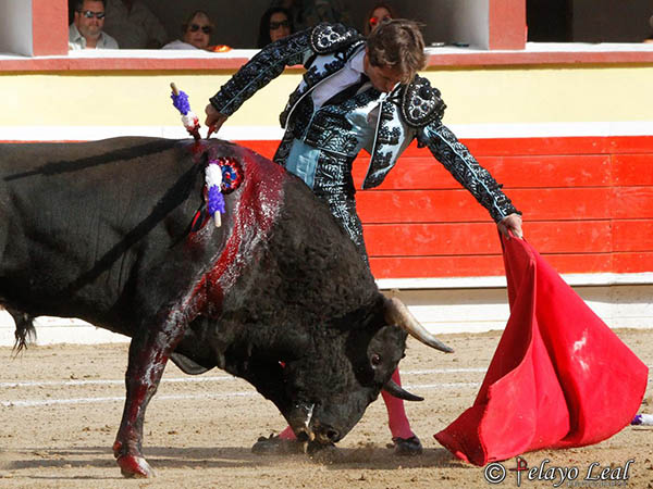 Dej� ver algo de bueno