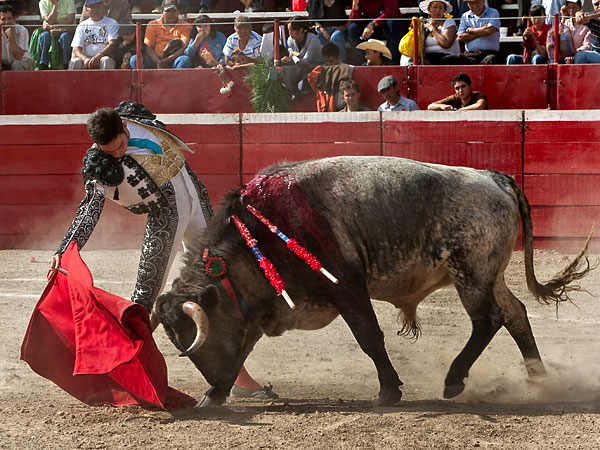 Gran momento de Salvador