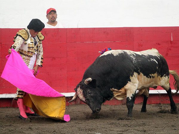 Ortega a la Ver�nica