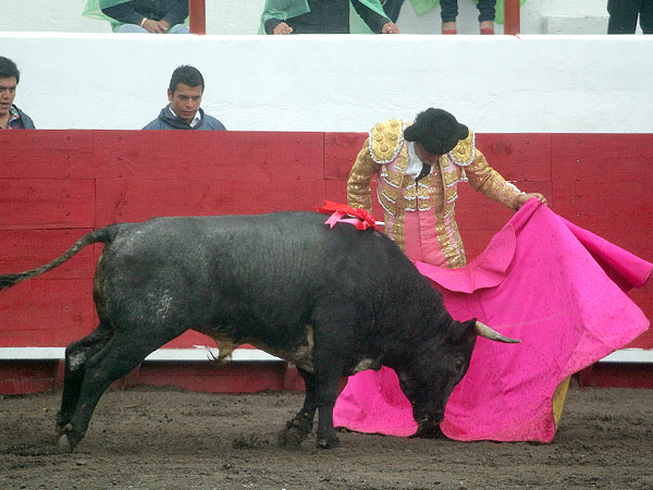 Jos� Luis Angelino