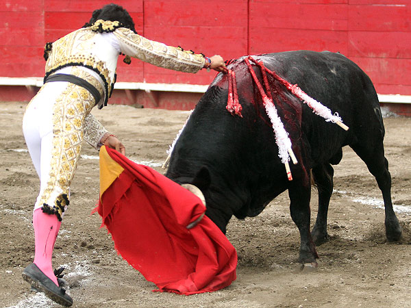 Matando con el coraz�n