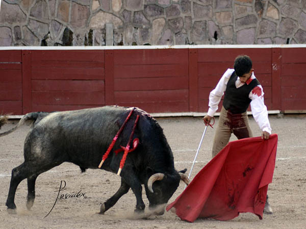Botos clavados en la arena