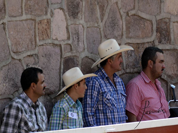 La afici�n alte�a, presente