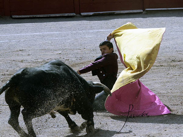 Saludo a portagayola