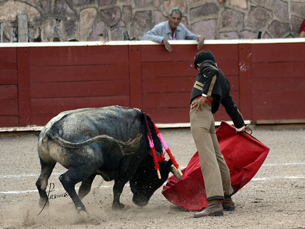 Llev�ndolo toreado