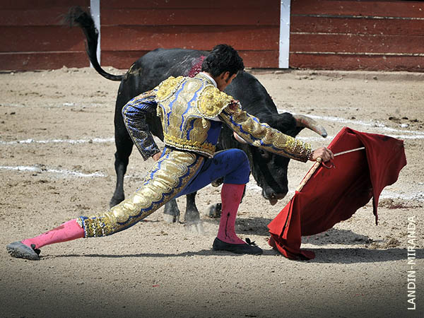 Evocando a Enrique Ponce