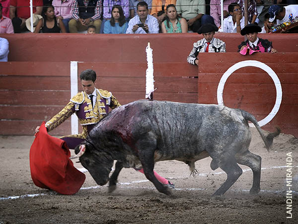 Faena con variedad y buen gusto