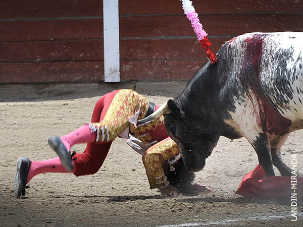 Lo prendi� en la ingle