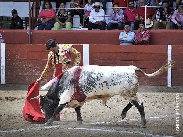 Ejemplar de bella l�mina