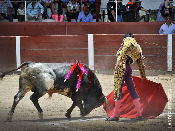 Calidad en la embestida