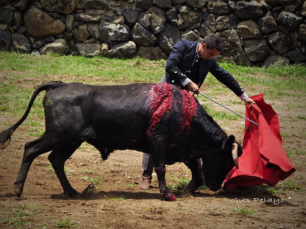 De cara a sus pr�ximos festejos