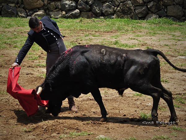 Por el pit�n derecho