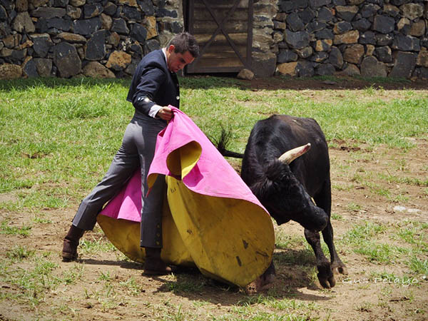 Acompasadas ver�nicas