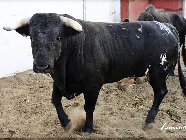 No. 153 (San Jos�)