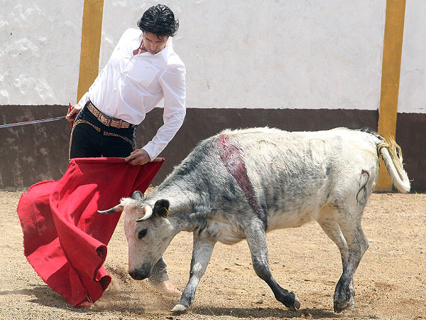 Un torero pleno