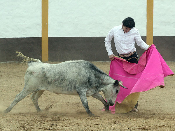 La cadencia de Federico