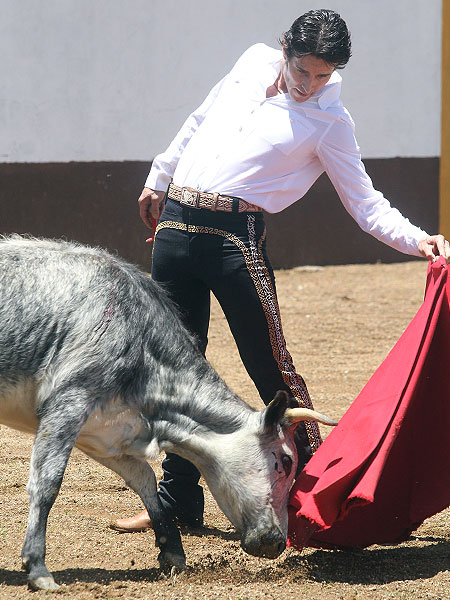 Temple,clase y empaque