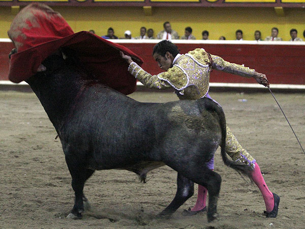 Pas�ndose todo el Toro