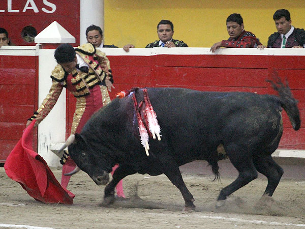 Faena plena de oficio