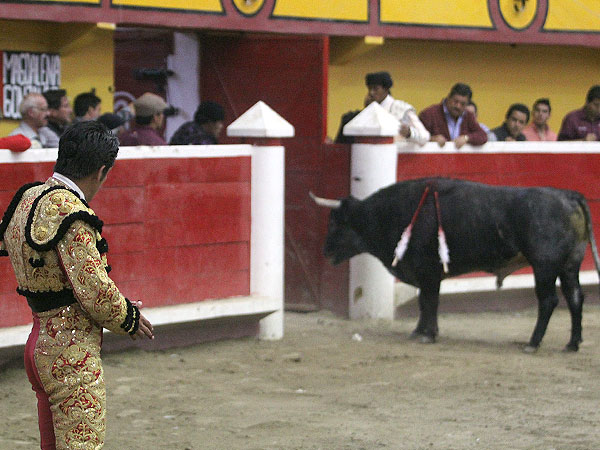 De regreso a la ganader�a