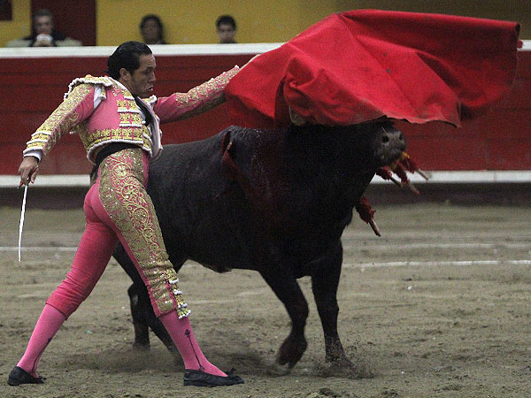 Un profesional del toreo