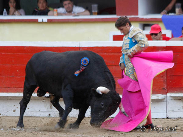 Un quite por chicuelinas